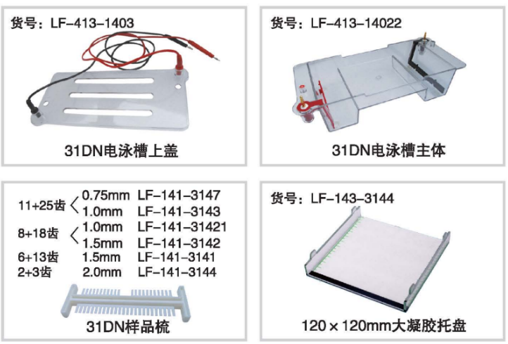 参数31DN.png